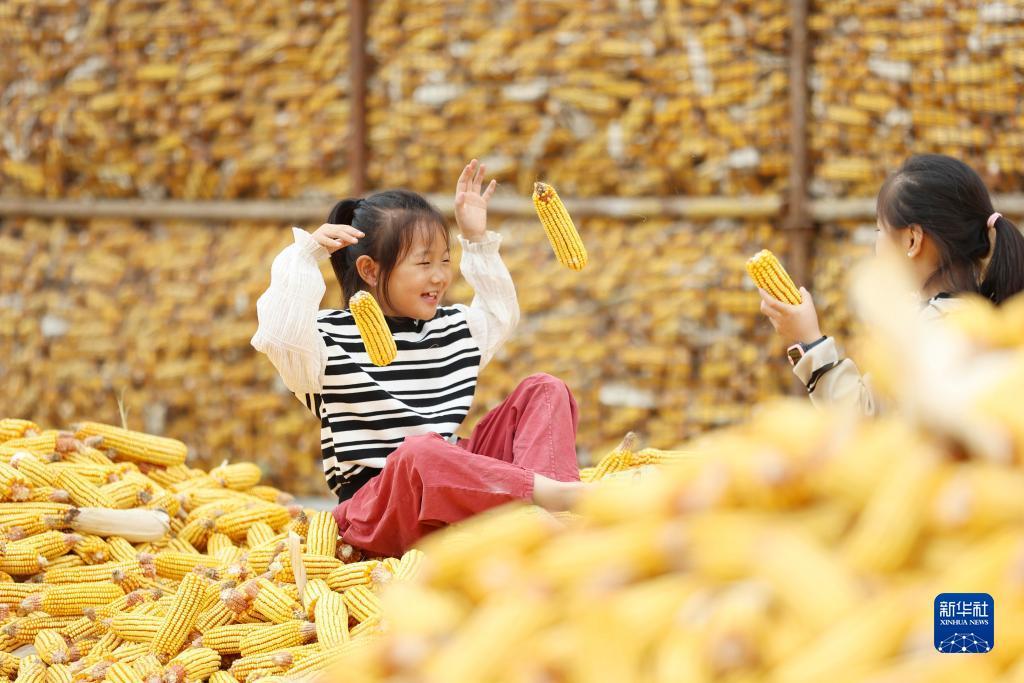 赌注什么好玩一点