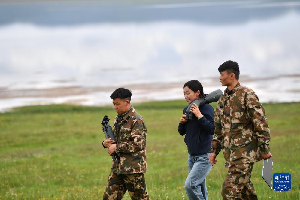 免费炸三张金花游戏